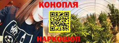 ECSTASY Канаш