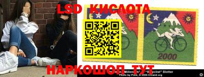 прущие грибы Камышлов