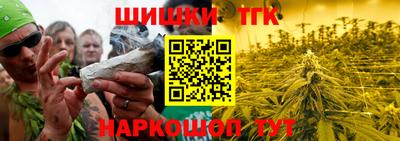 прущие грибы Камышлов