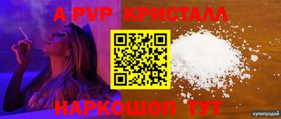 прущие грибы Камышлов