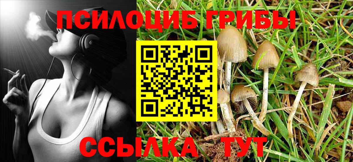 Псилоцибиновые грибы Magic Shrooms Дубна